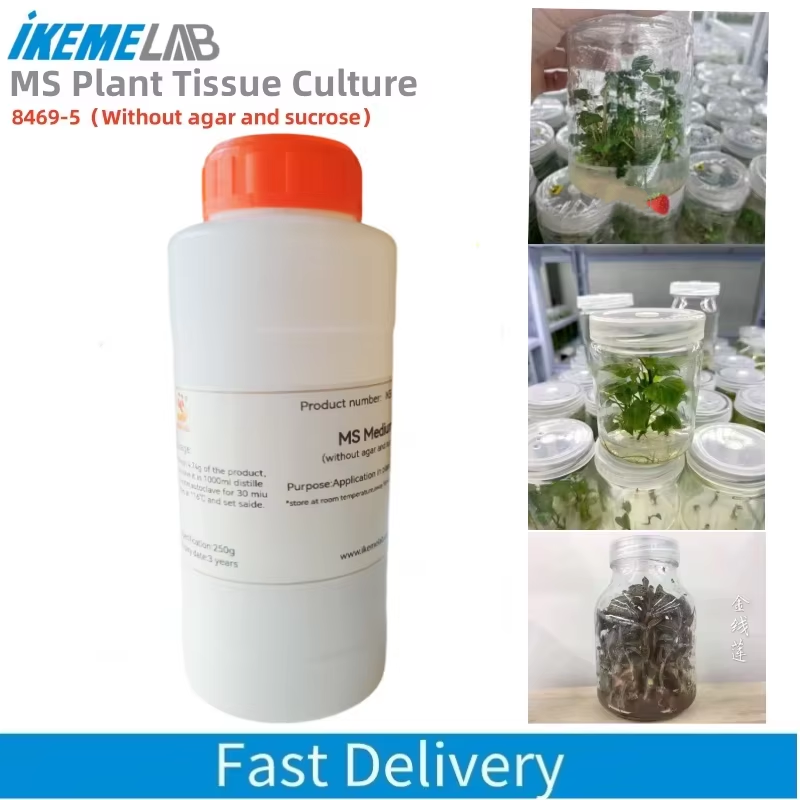 Agar Tissue Culture - IKEME 250g Lab MS Medium Agar