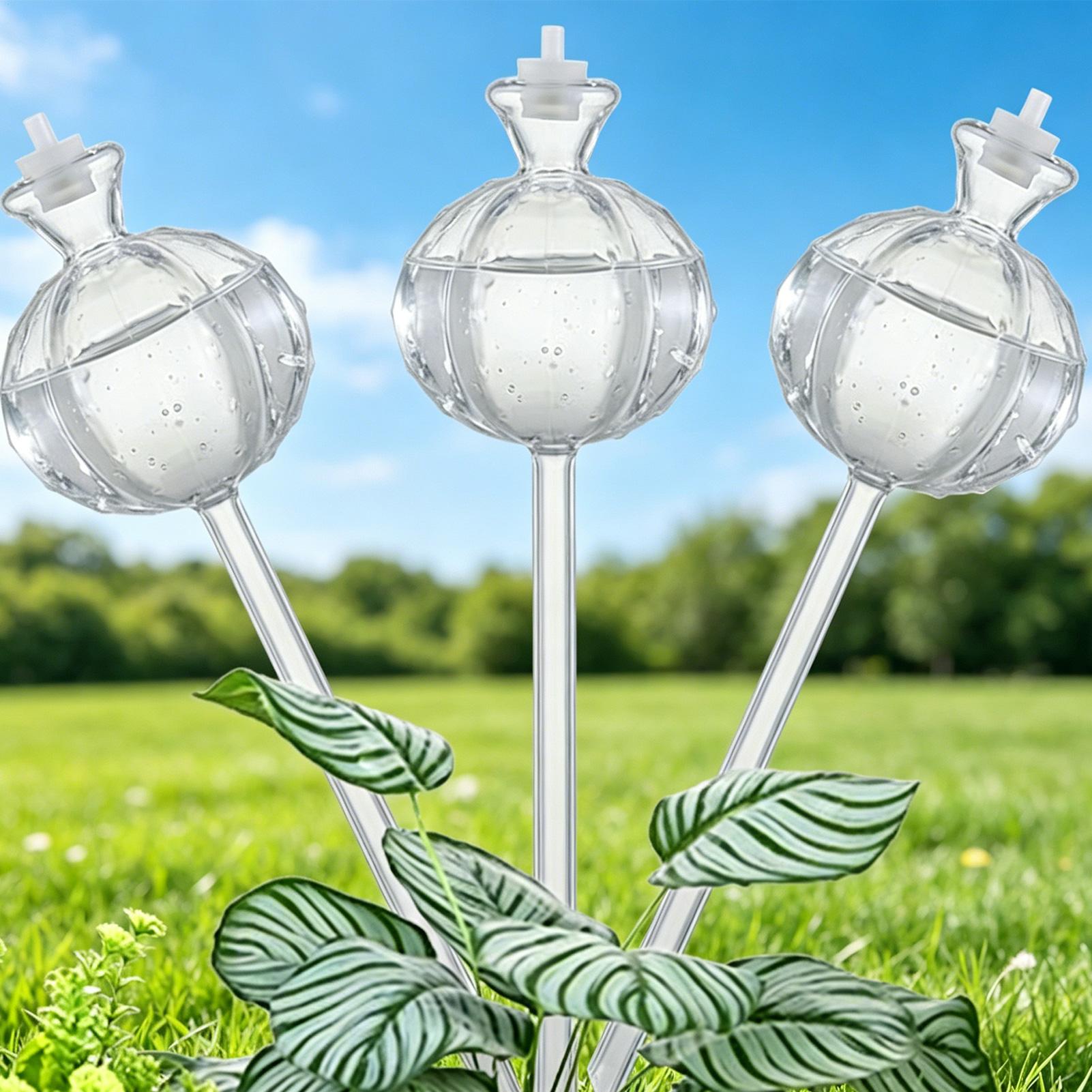 Self Watering Insert - Kendiliğinden Sulanan Küreler 3 Parça Yavaş