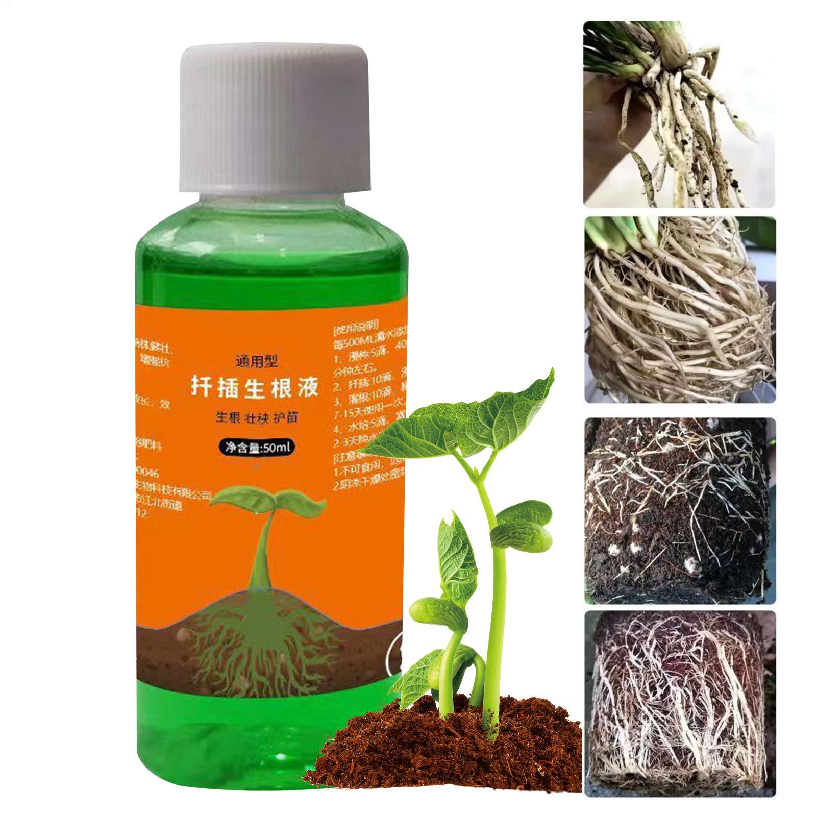 Root Stimulator Liquid - 50ml Fide Yetiştirme Besin Solüsyonu Bitki