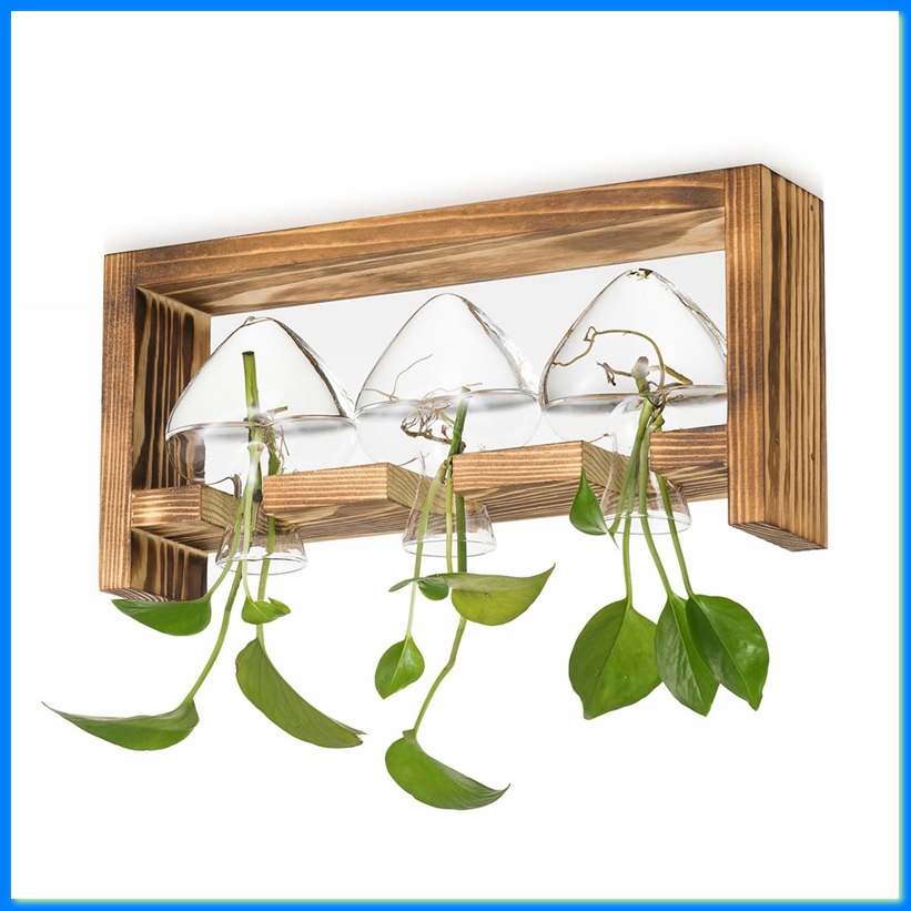 Bitkiler için Cam Üretim İstas - Propagation Station Vase incelemesi ve fiyatı