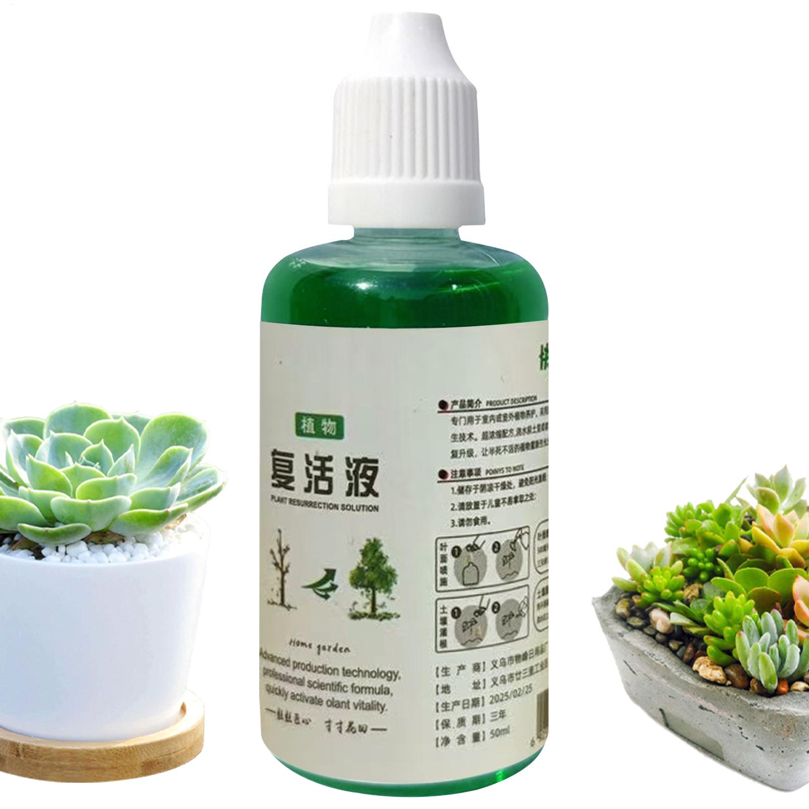 Kök Stimülatörü Bitki Canlandı - Root Stimulator Liquid incelemesi ve fiyatı