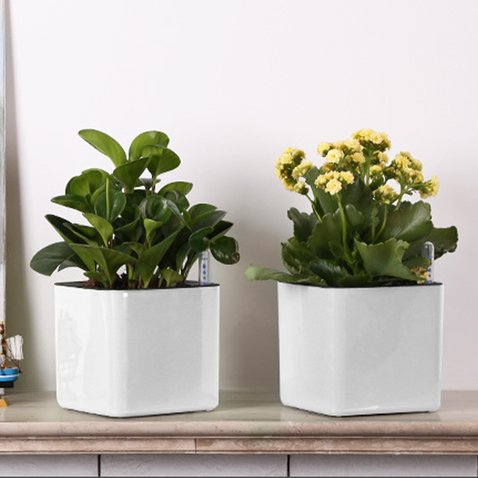 Kendi Kendine Sulayan Saksı Su - Self Watering Insert incelemesi ve fiyatı