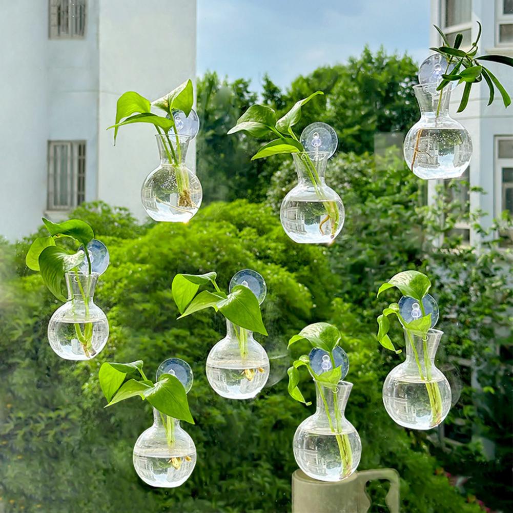 Pencere saksısı vazo pencere b - Propagation Station Vase incelemesi ve fiyatı
