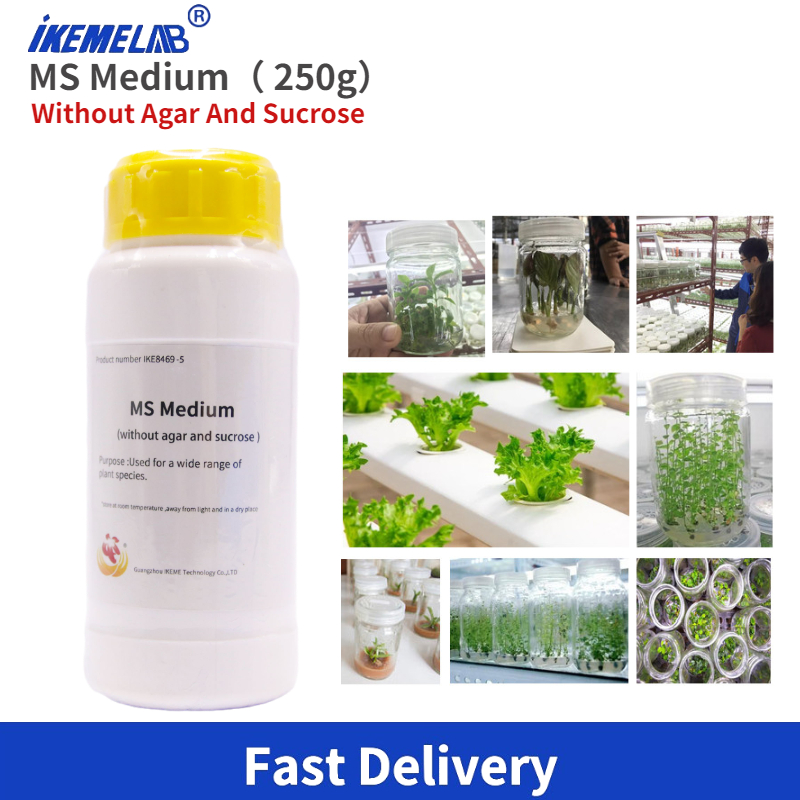 IKEME Lab MS Medium 250g Agar  - Agar Tissue Culture incelemesi ve fiyatı