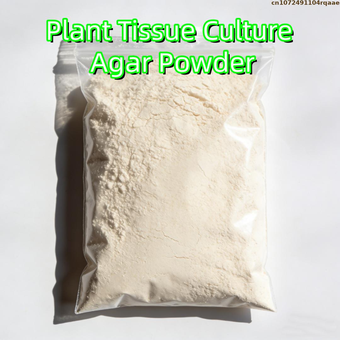 Premium Bitki Doku Kültürü Aga - Agar Tissue Culture incelemesi ve fiyatı