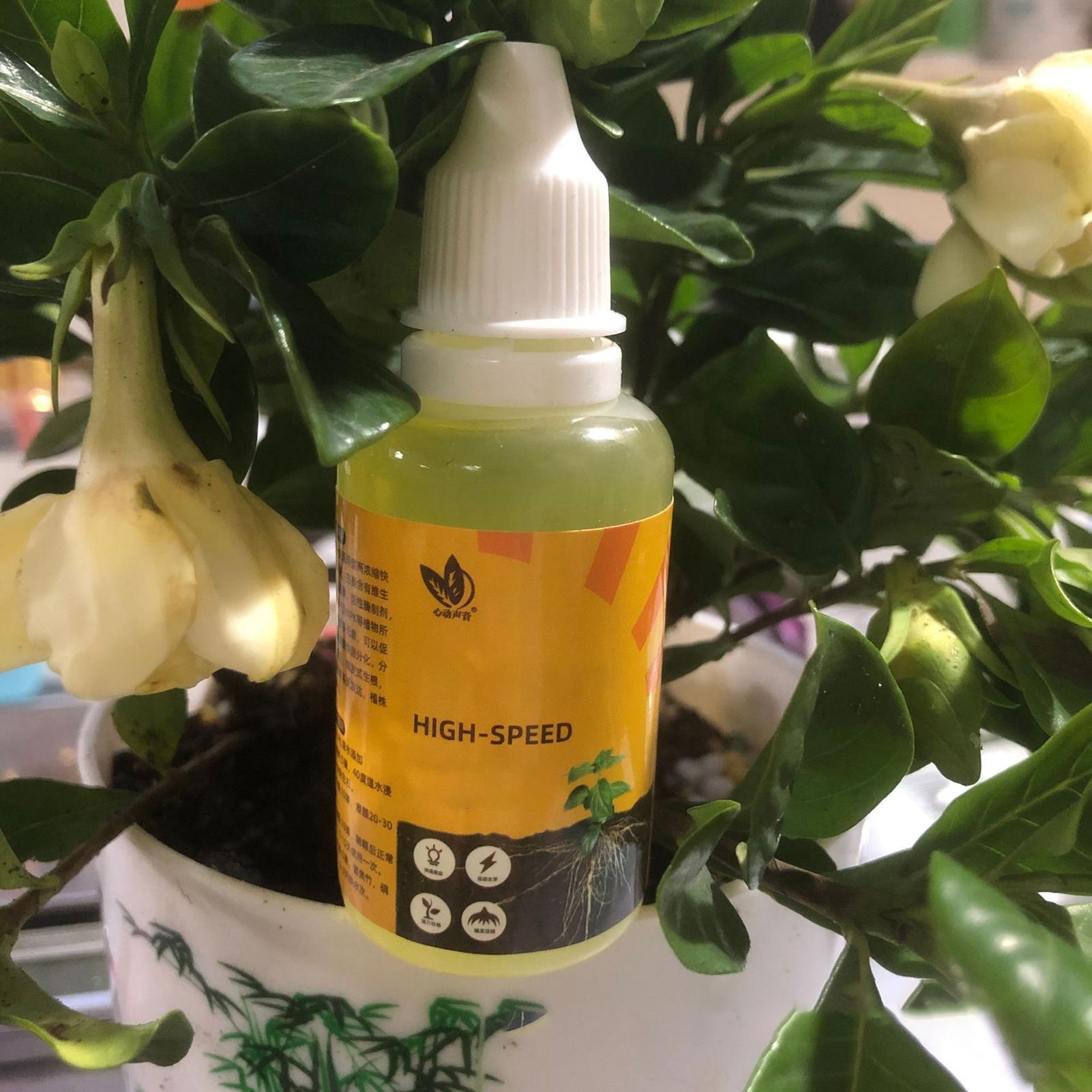 50 ml Bitki Köklendirme Stimül - Rooting Hormone Powder incelemesi ve fiyatı
