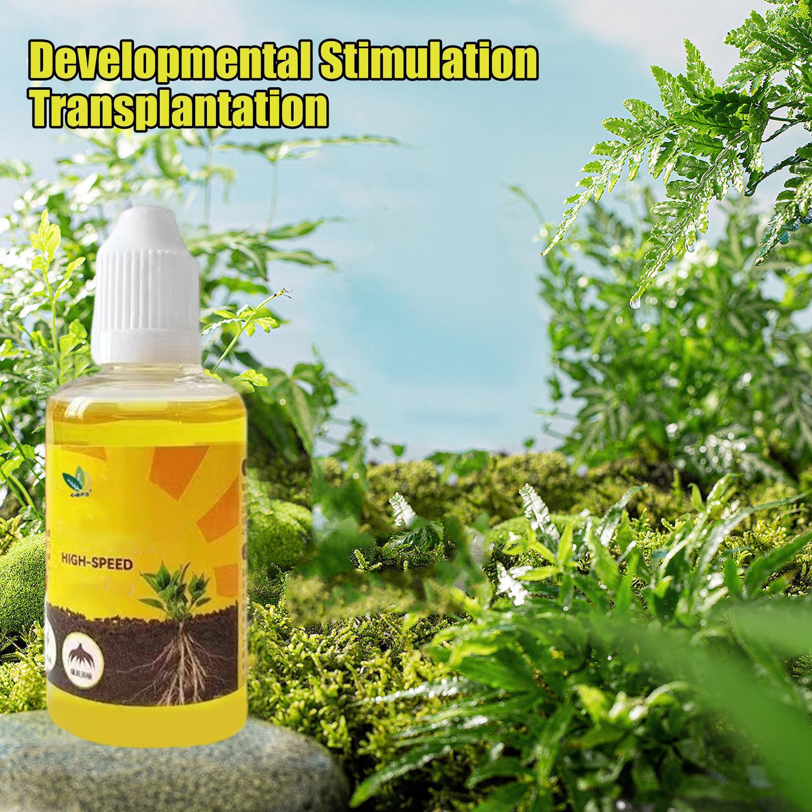 50 ml Bitki Köklendirme Stimül - Rooting Hormone Powder incelemesi ve fiyatı