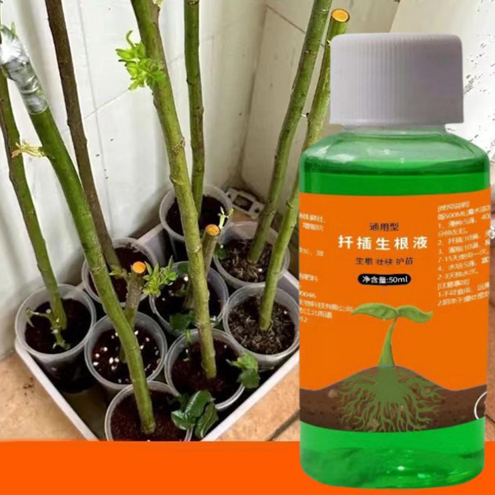 Bitki Kesimleri için Yüksek Ve - Root Stimulator Liquid incelemesi ve fiyatı