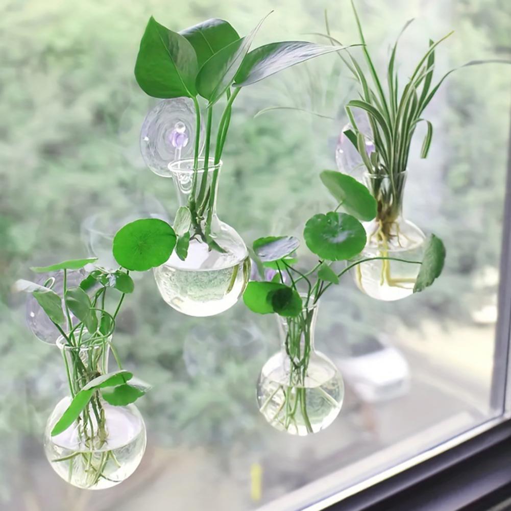 1/2/3/4/6/8 adet bitki çoğaltm - Propagation Station Vase incelemesi ve fiyatı