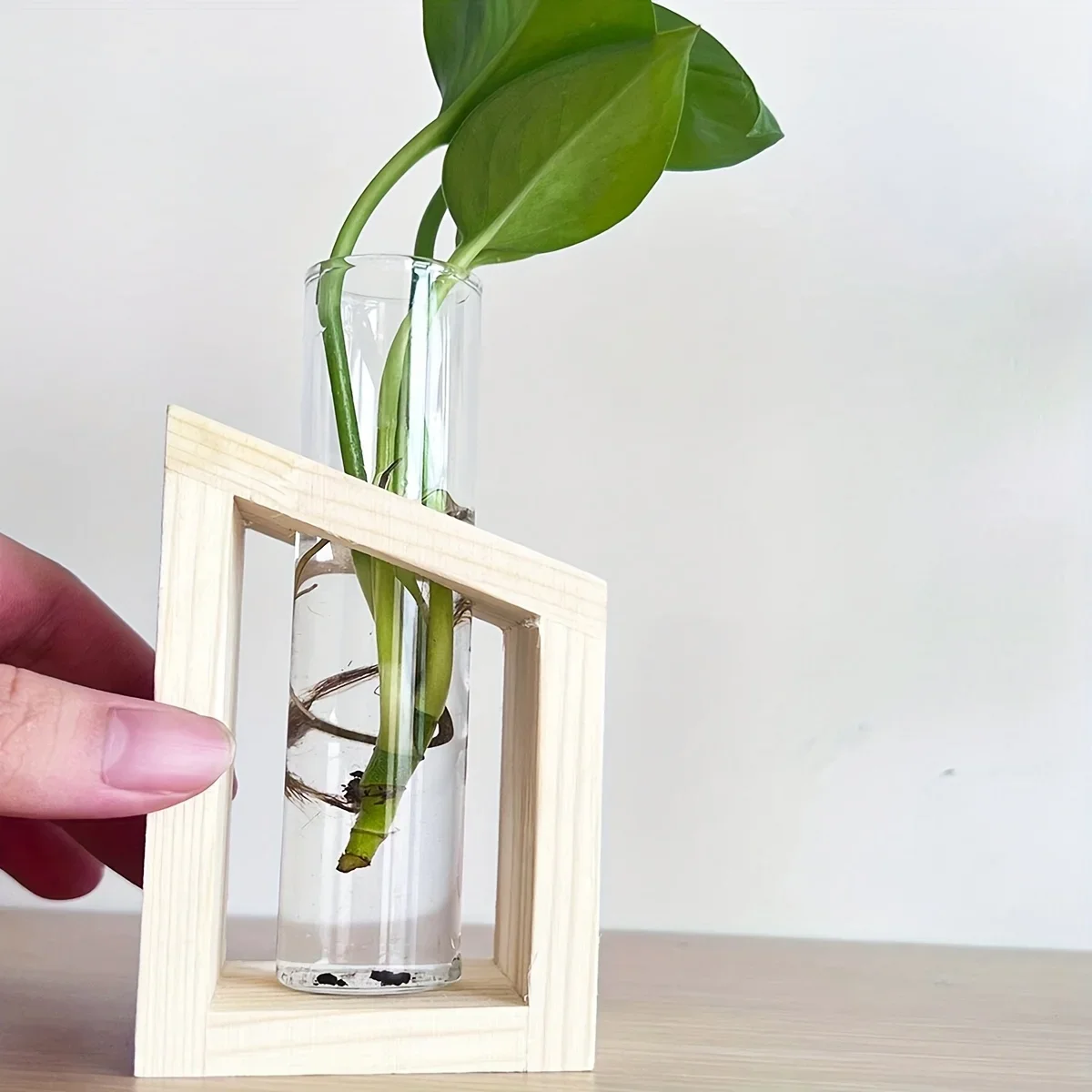 Test Tüpü Cam Vazo Bitki Çoğal - Propagation Station Vase incelemesi ve fiyatı