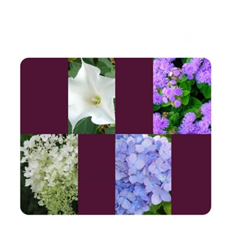 2 torba Köklendirme Hormonu To - Rooting Hormone Powder incelemesi ve fiyatı