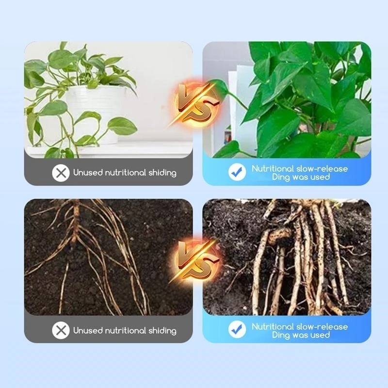 2 torba Köklendirme Hormonu To - Rooting Hormone Powder incelemesi ve fiyatı