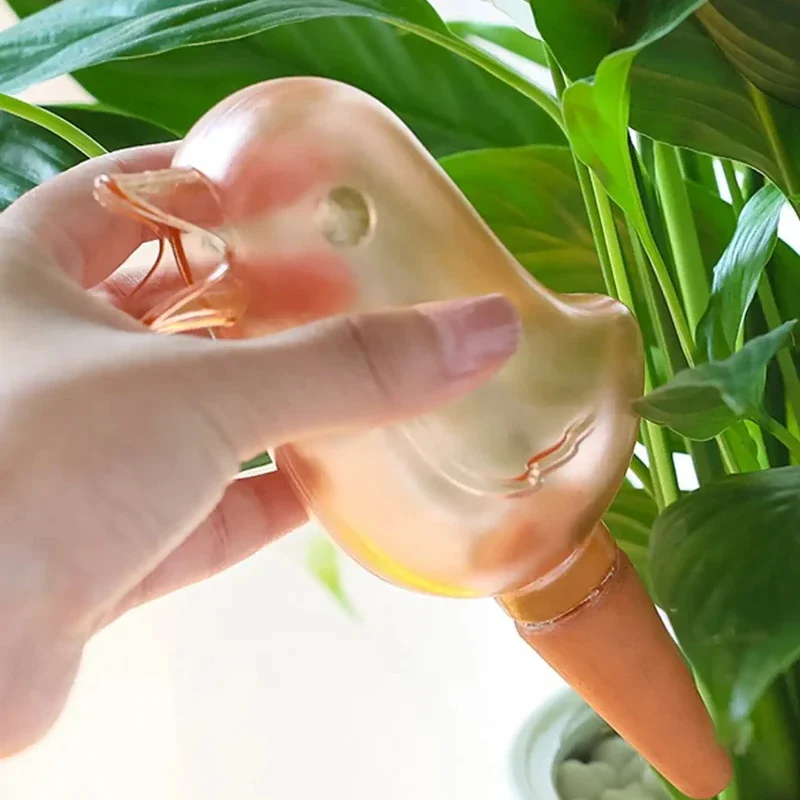 Yüksek kaliteli otomatik çiçek - Self Watering Insert incelemesi ve fiyatı