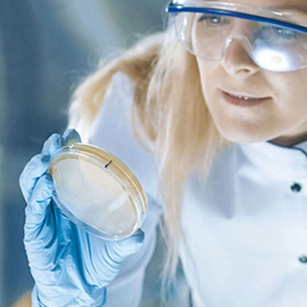 10 adet plastik Petri kapları  - Agar Tissue Culture incelemesi ve fiyatı